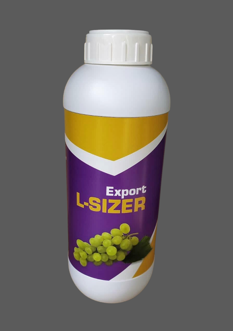 EXPORT L-SIZER