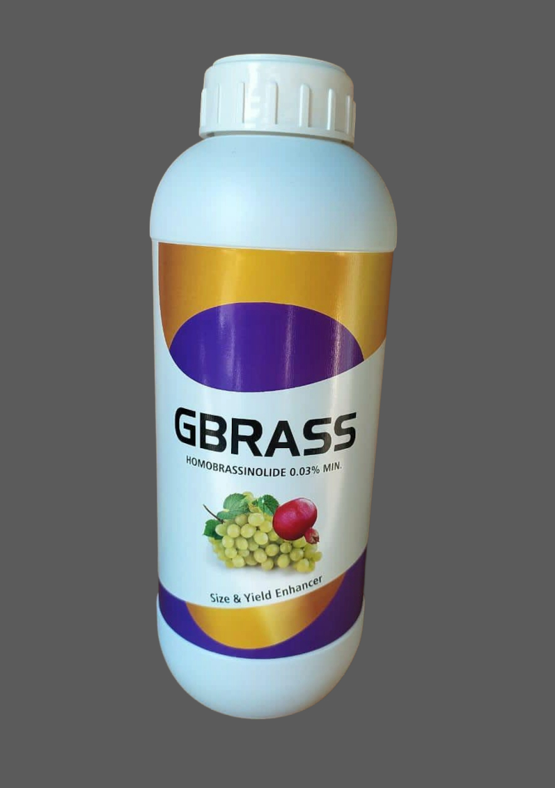 GBRASS